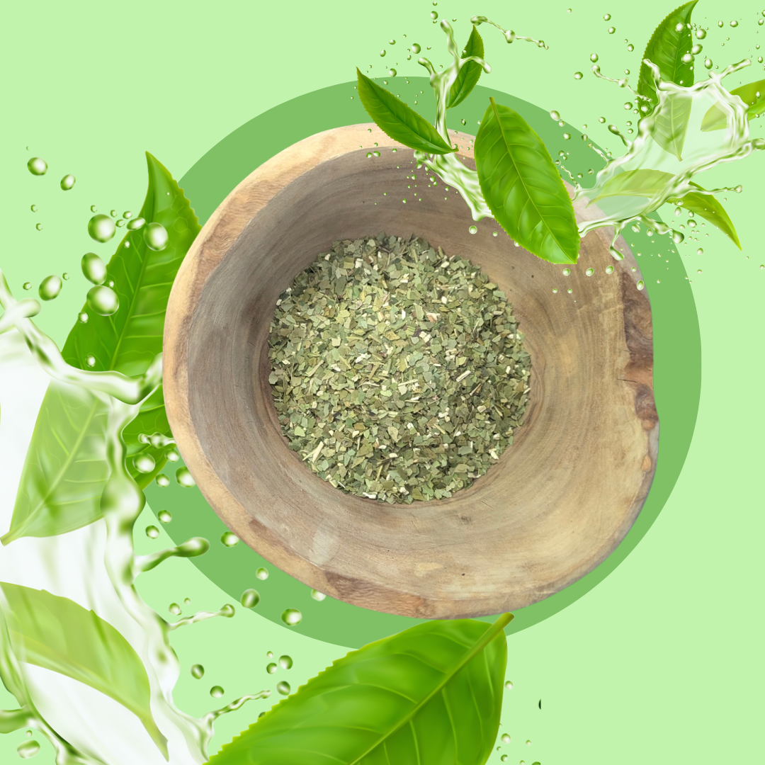 Maté Vert